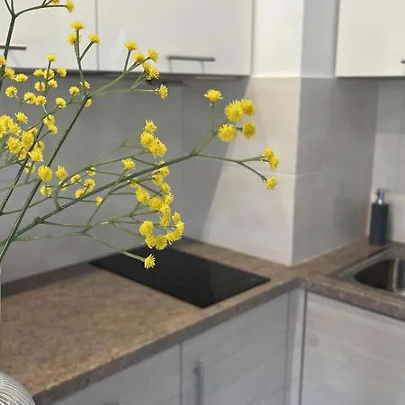 Apartamety I Pokoje Goscinne Na Jaskolczej Świeradów-Zdrój Exteriér fotografie